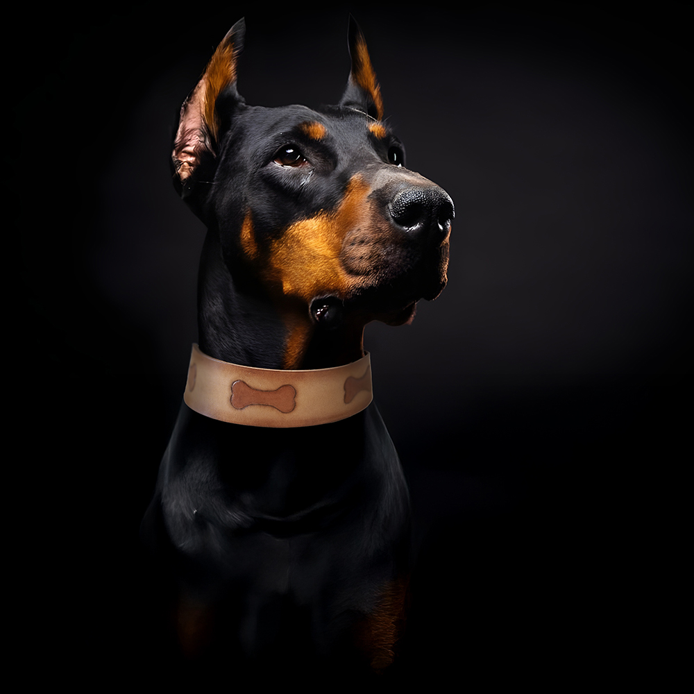 DERİ İŞLEMELİ 3b kopya