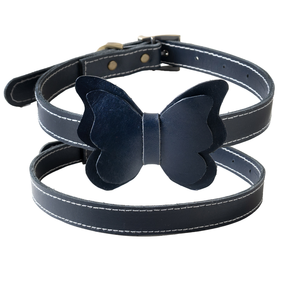 LACİVERTDERİTASMAKELEBEK