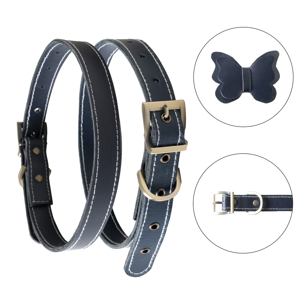 LACİVERTDERİTASMAKELEBEKa