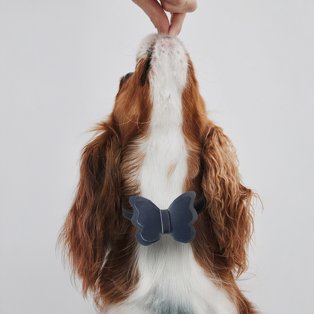 LACİVERTDERİTASMAKELEBEKb