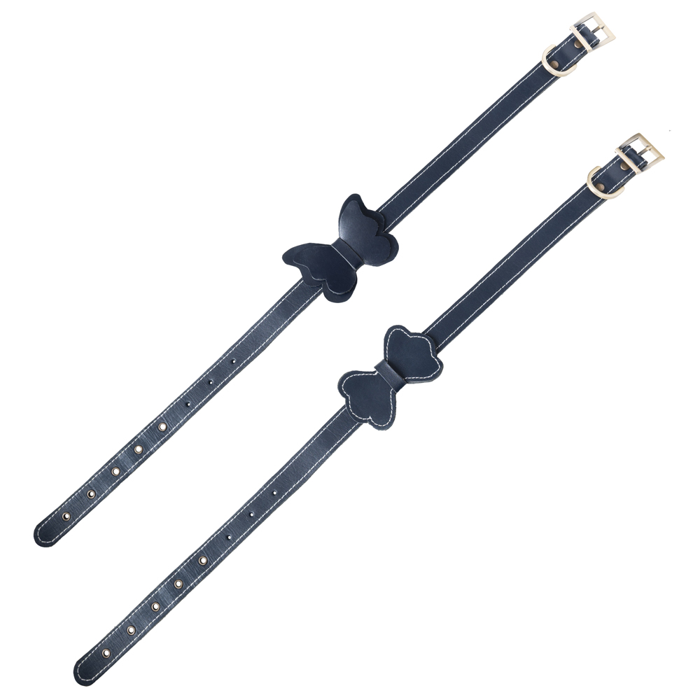 LACİVERTDERİTASMAKELEBEKd