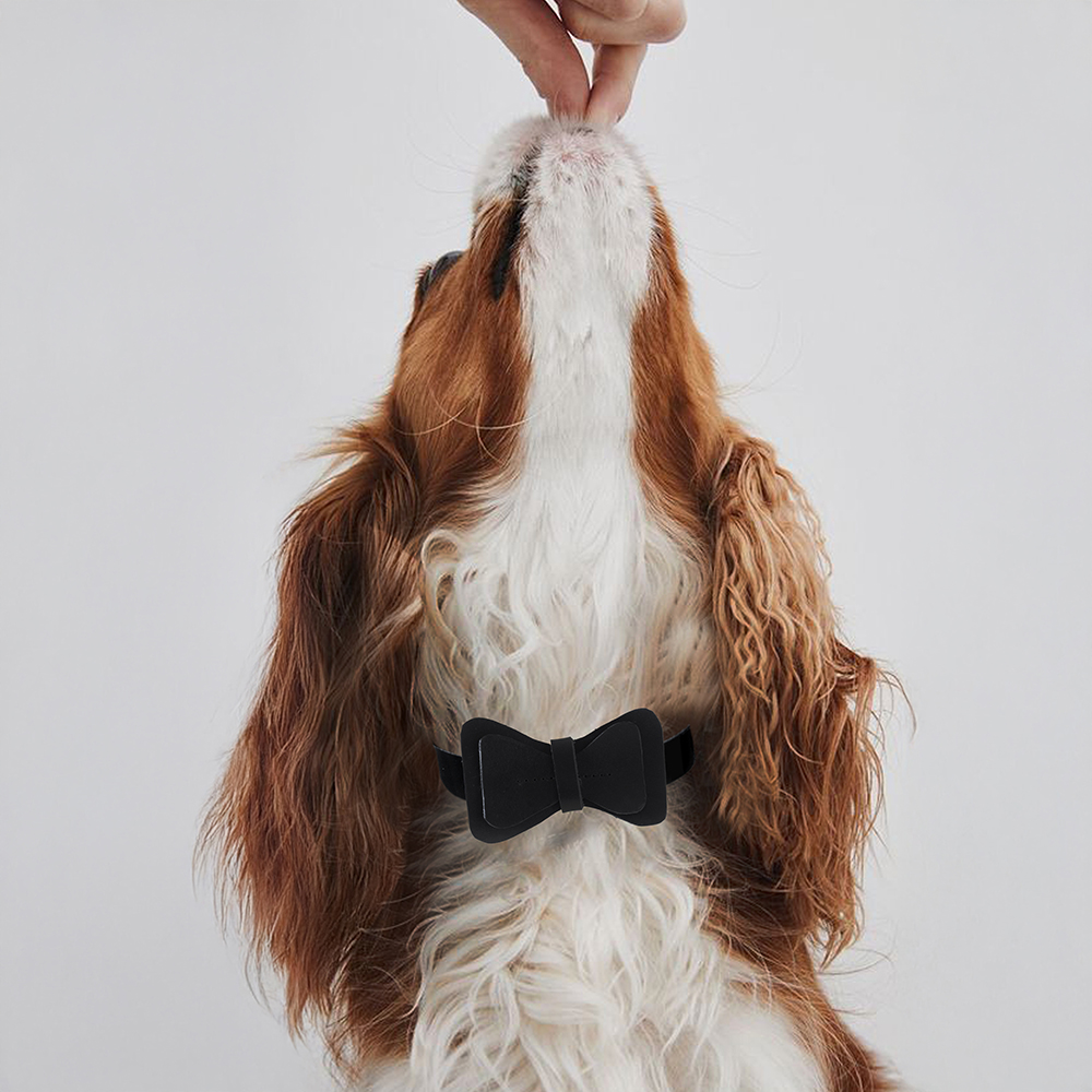 SİYSHDERİKELEBEK4b