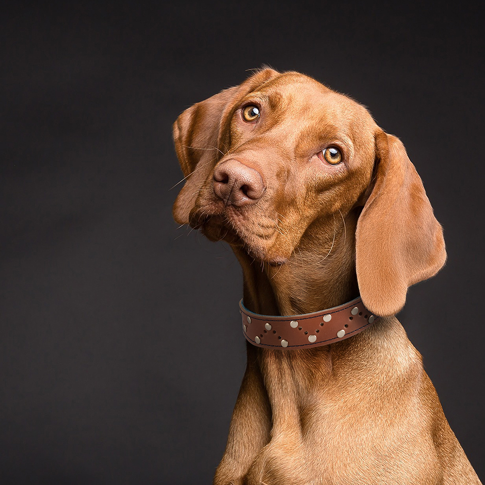 delikli zımbalı taba 3 kopya